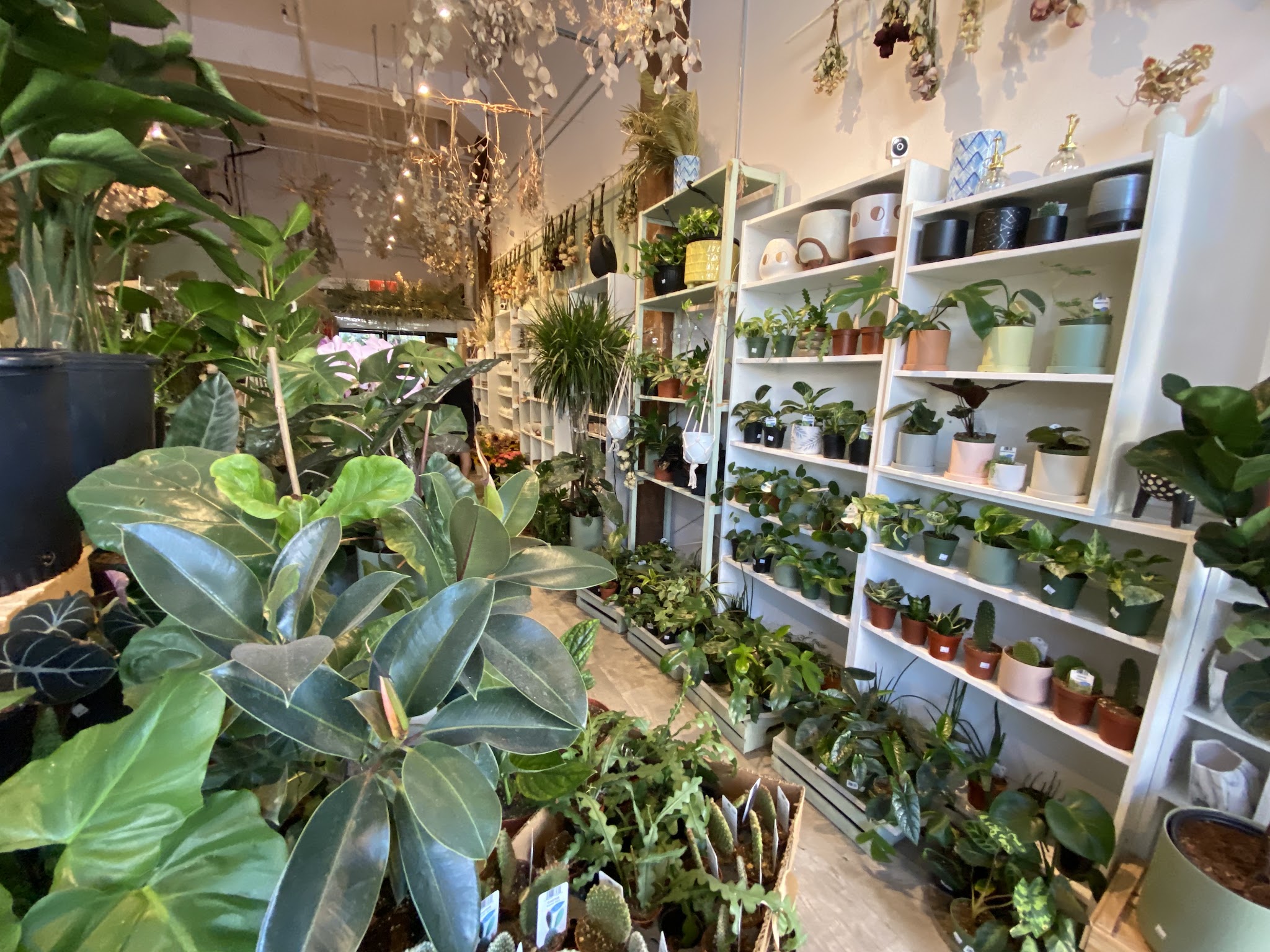 Cream Mint Florist