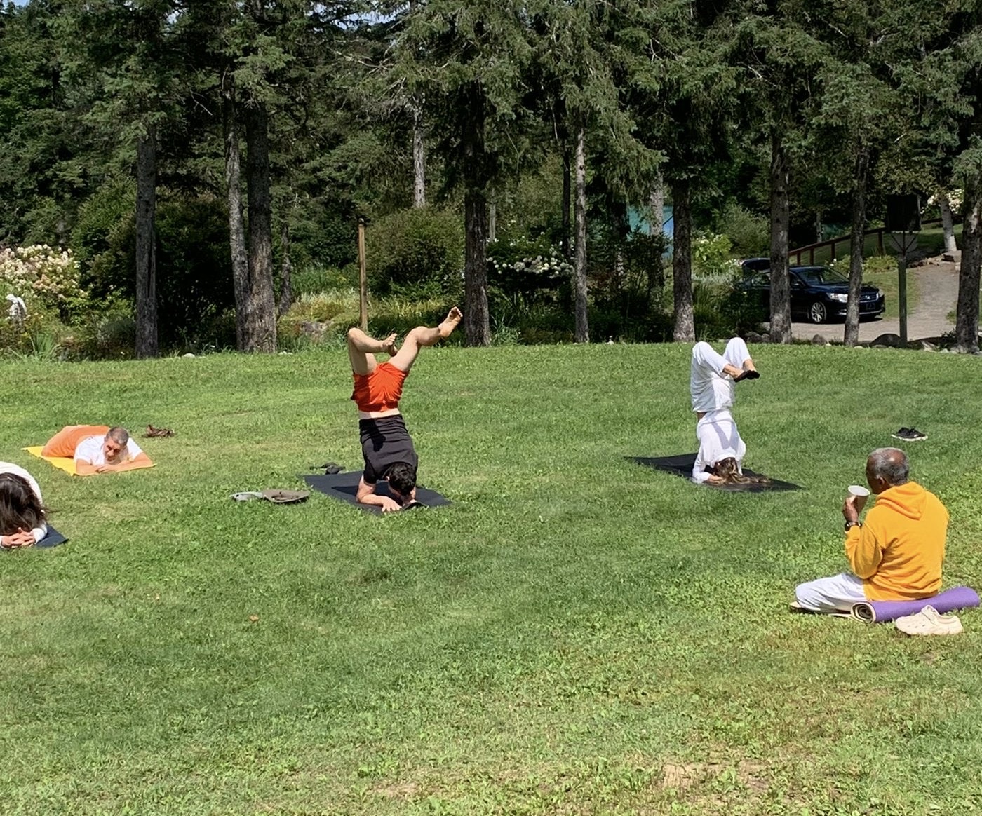 Master Sabu Yoga | Traditional Yoga Master | Sivananda Yoga Vancouver