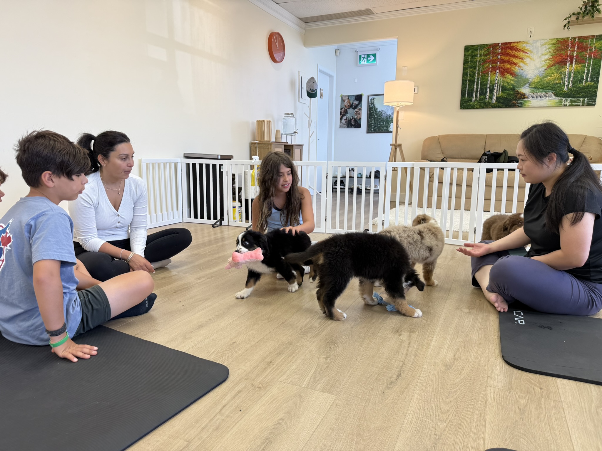 Puppy Yoga Lounge