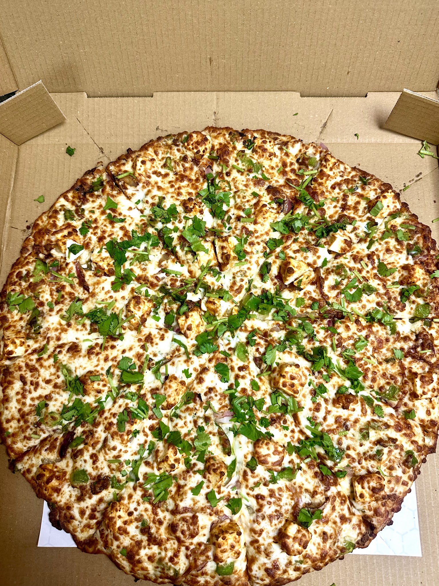 Mr. Singh’s Pizza Mississauga