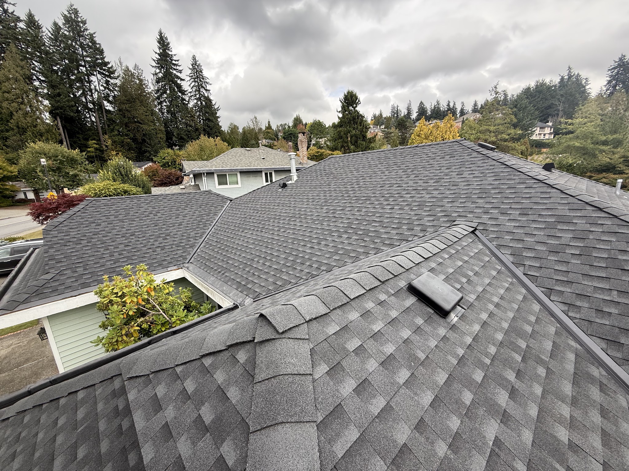 Resilience Roofing