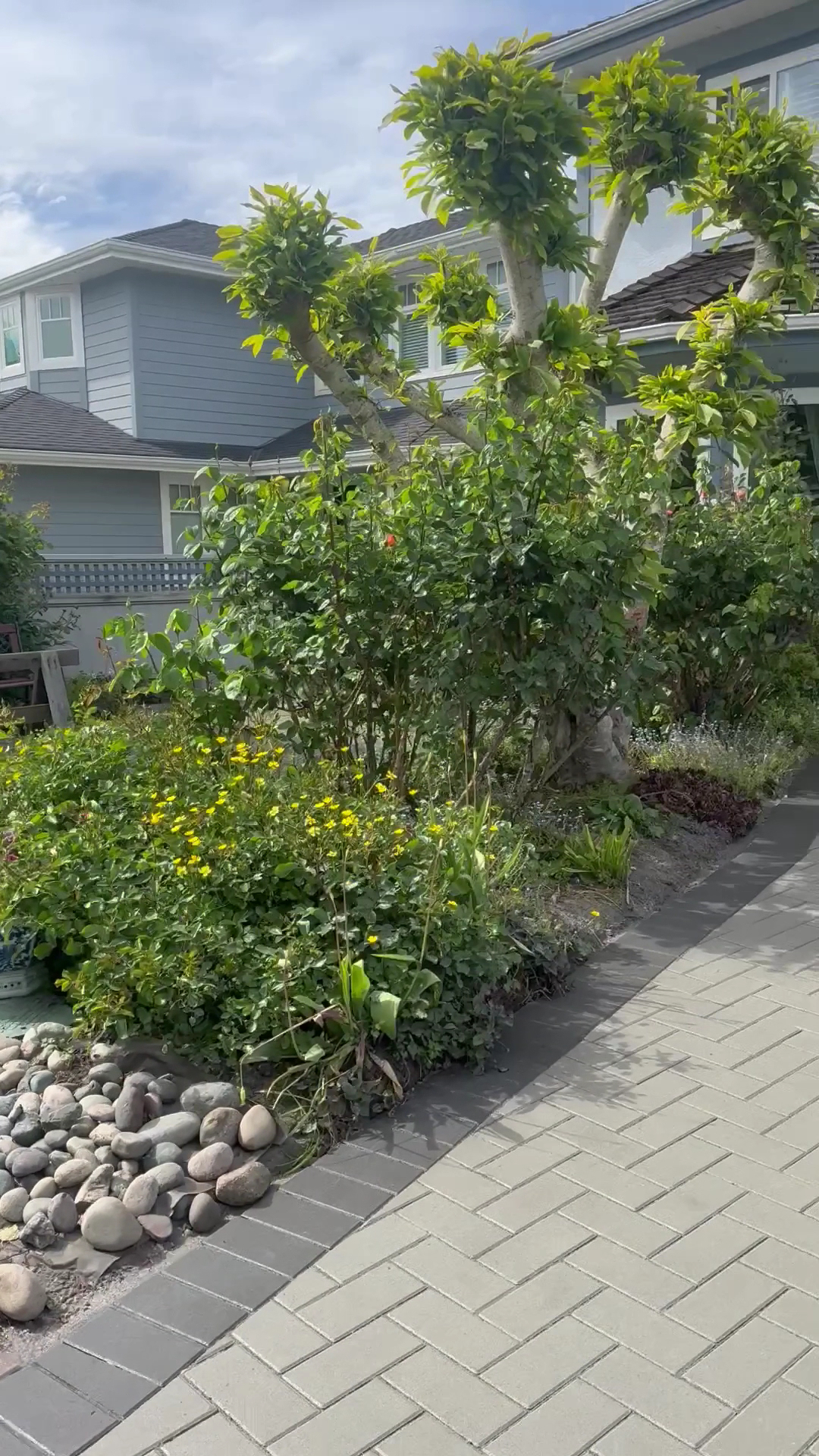 Green Bamboo Landscaping