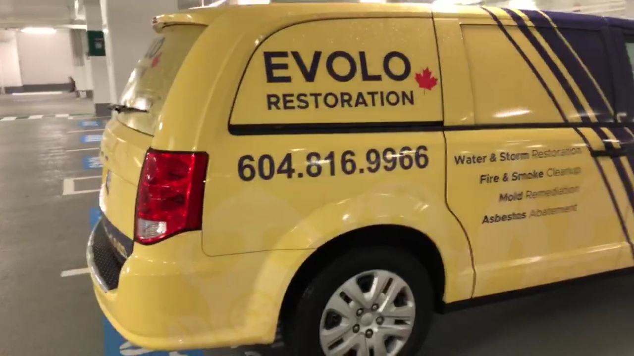 Evolo Restoration