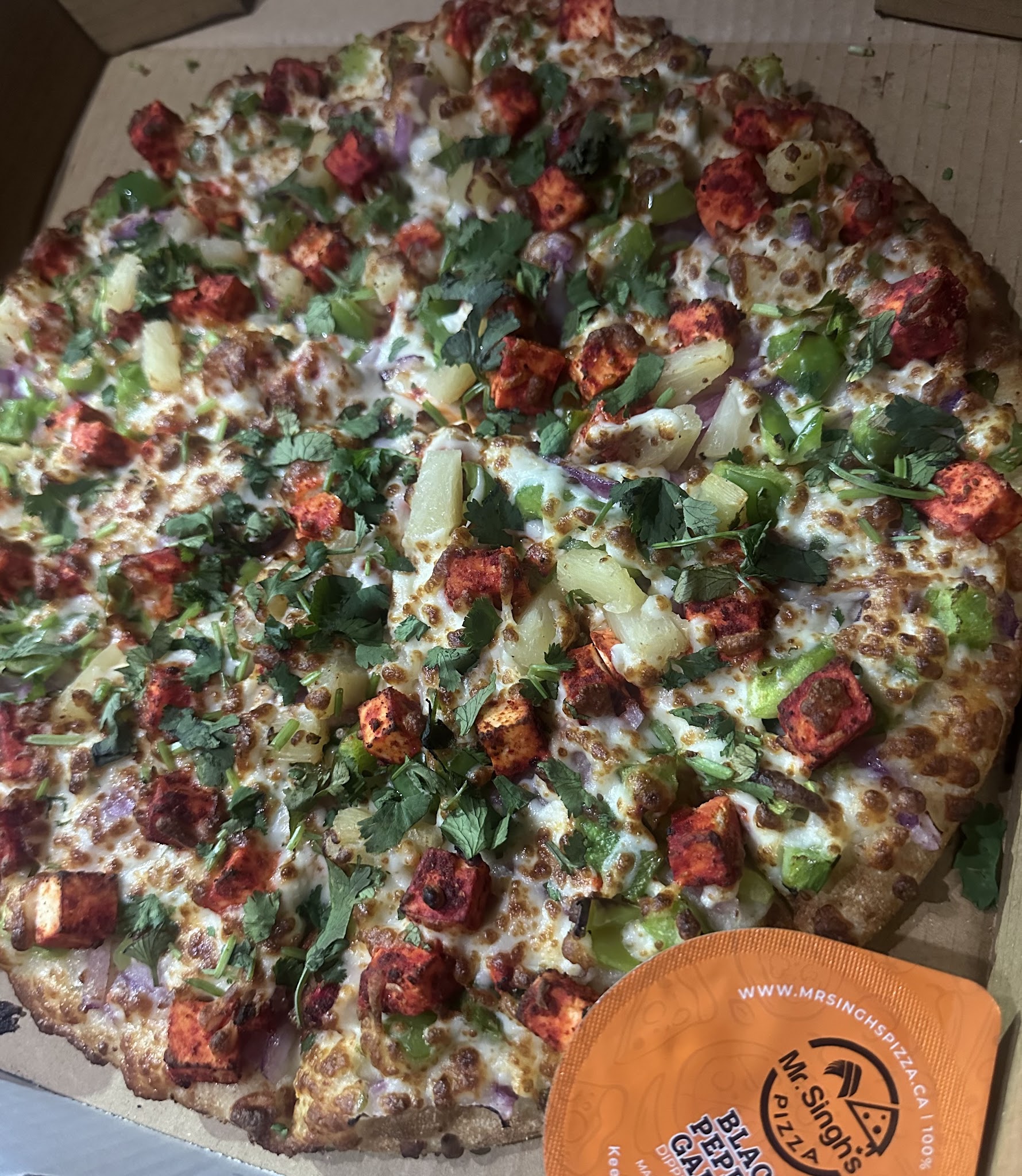 Mr. Singh’s Pizza Mississauga