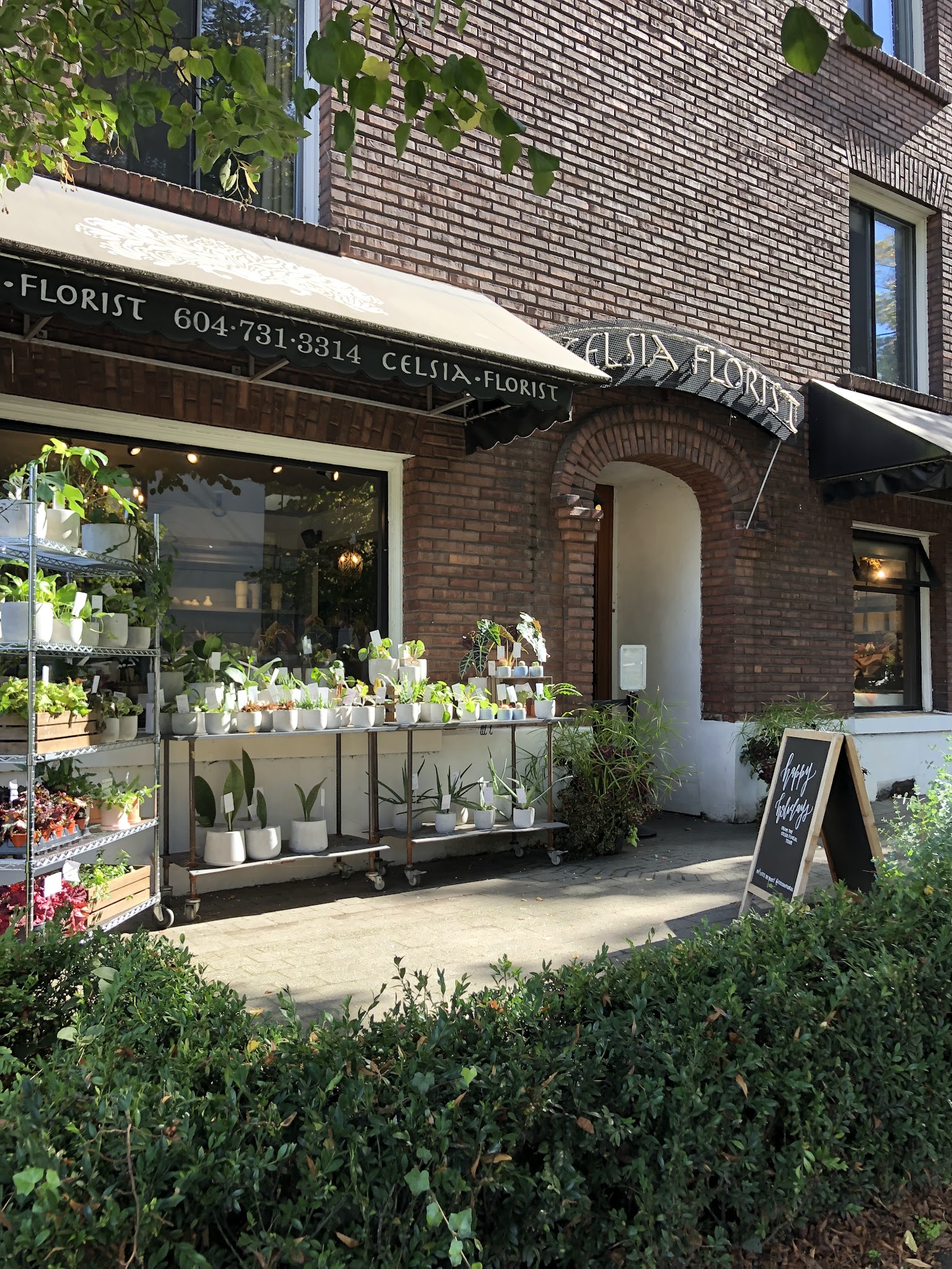 Celsia Florist Vancouver