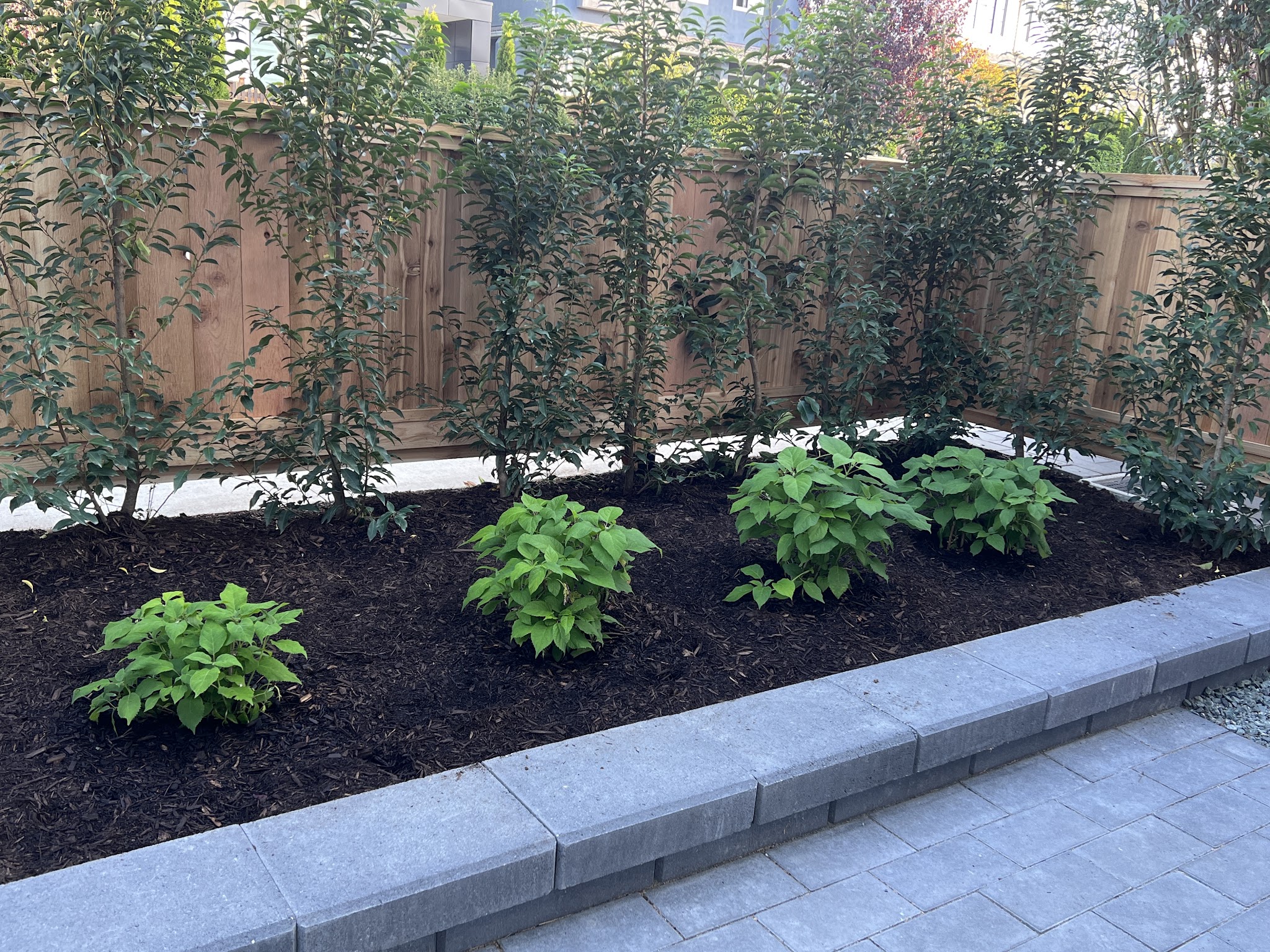 EDGE. Landscaping & Garden Maintenance