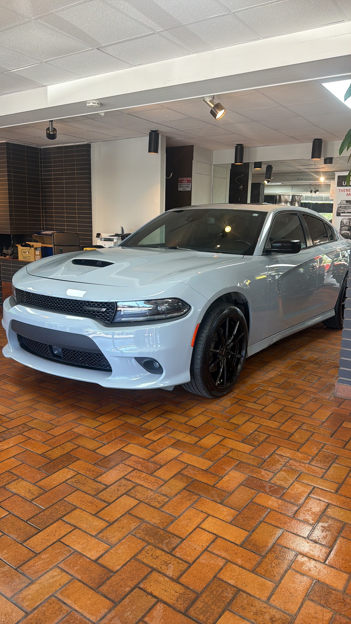 Alpine Motors
