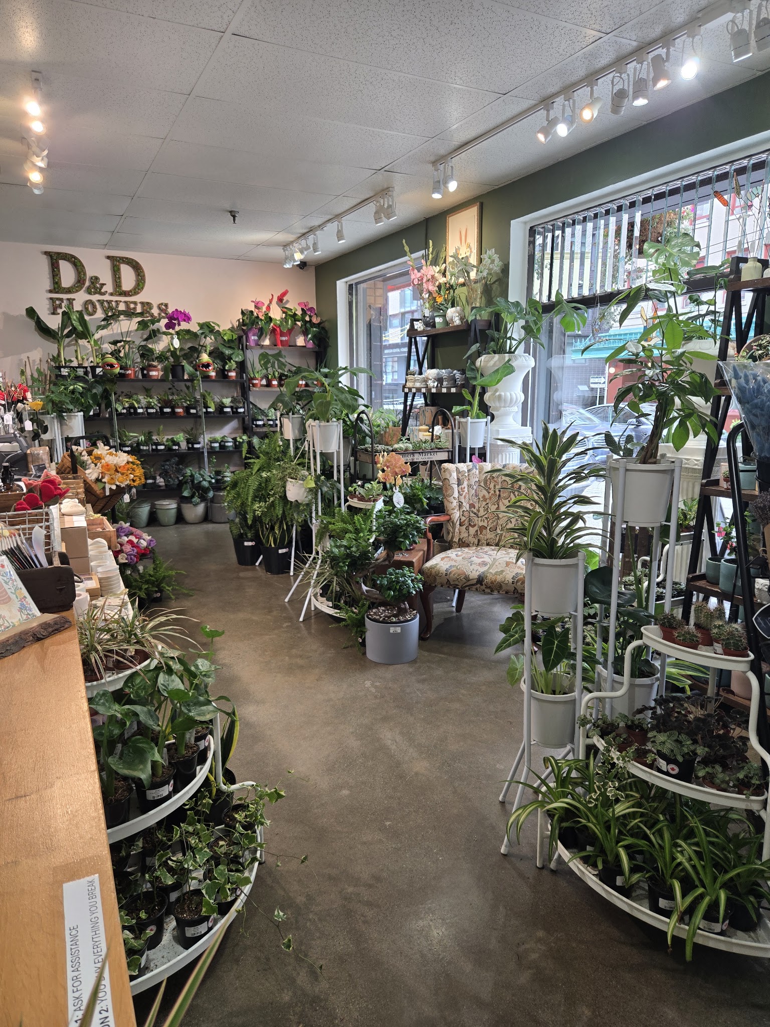 D&D Flowers