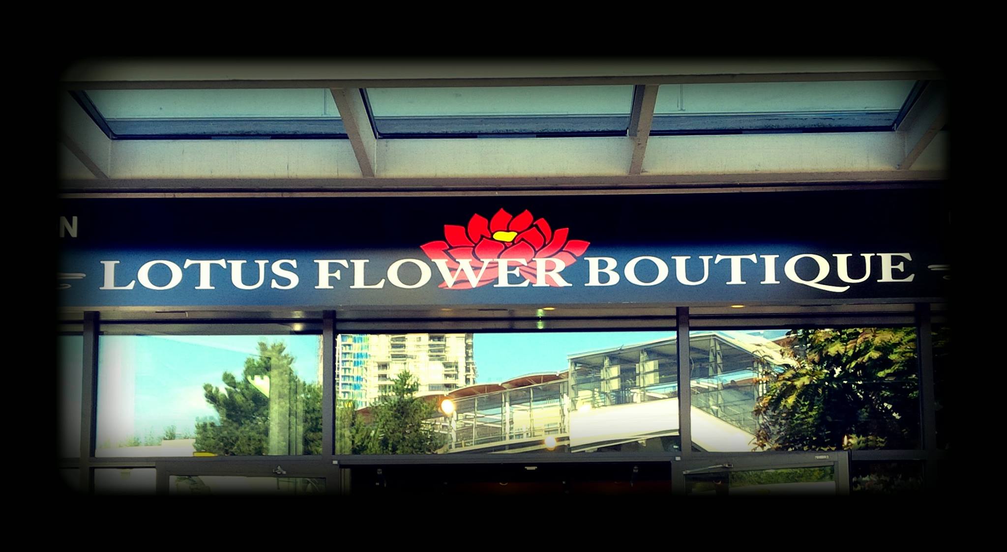 Lotus Flower Boutique (GILMORE)