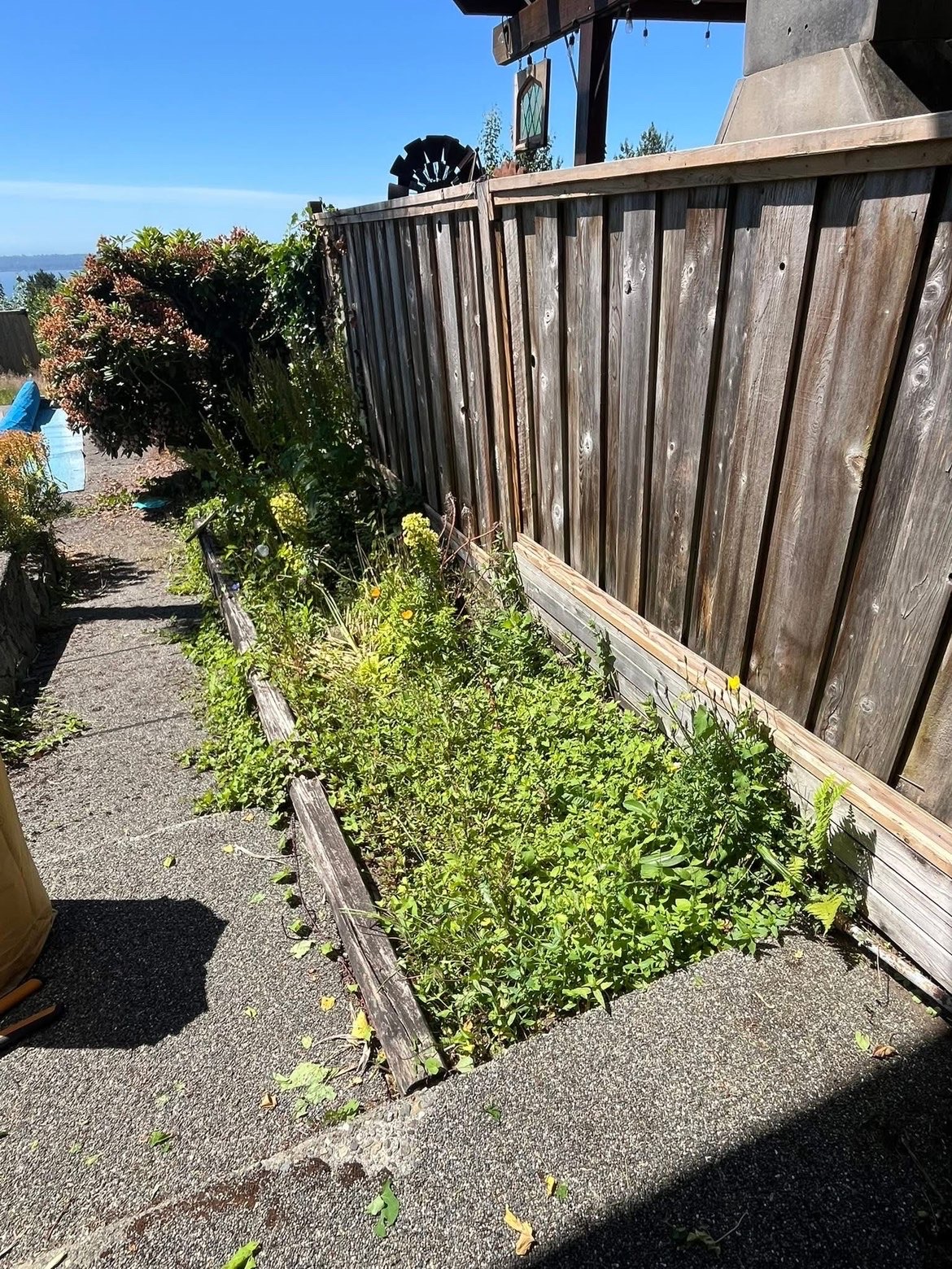 Fresh & Clean Yards