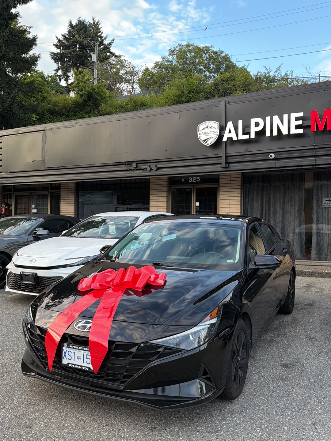 Alpine Motors