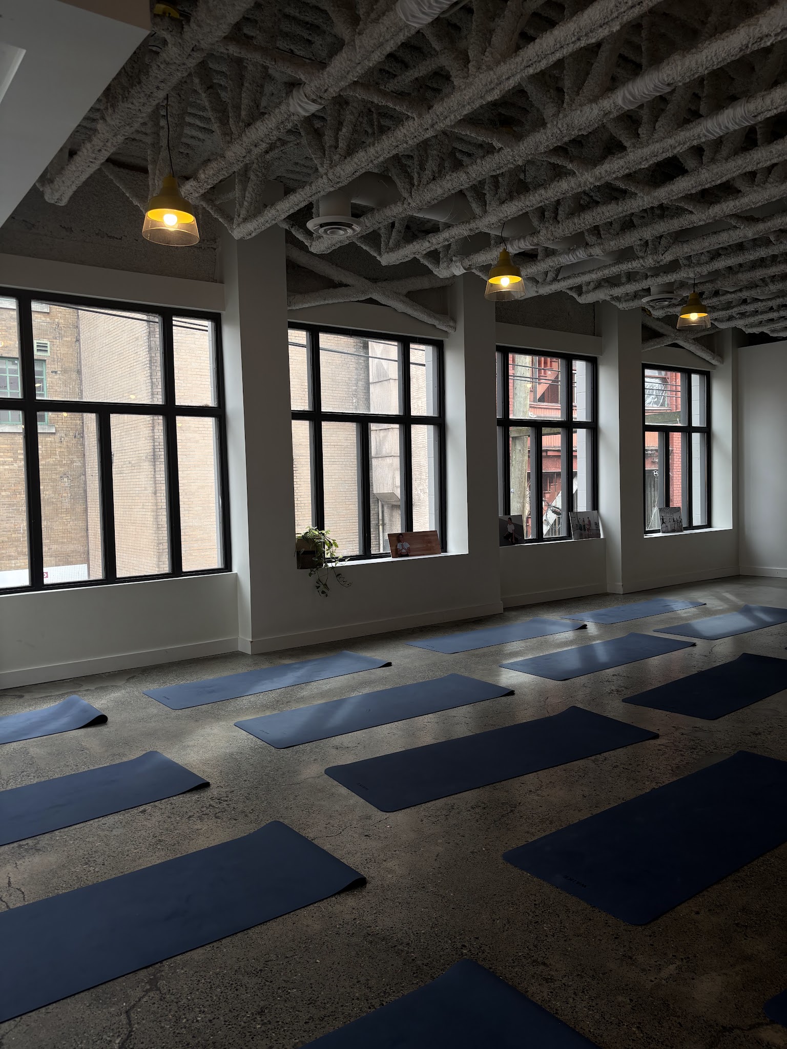 Pups&Yoga Vancouver