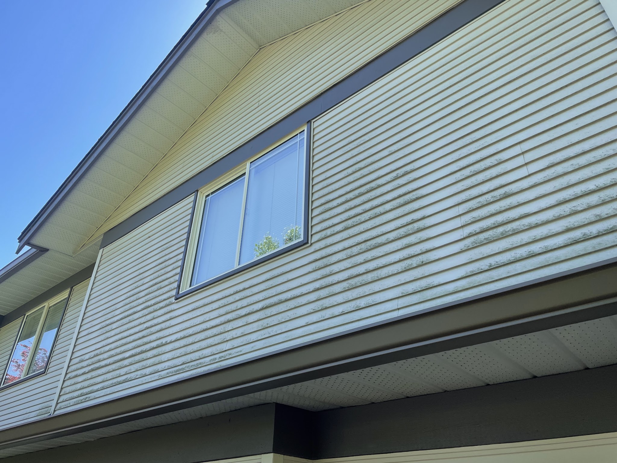 Coastal Roof Cleaning Experts