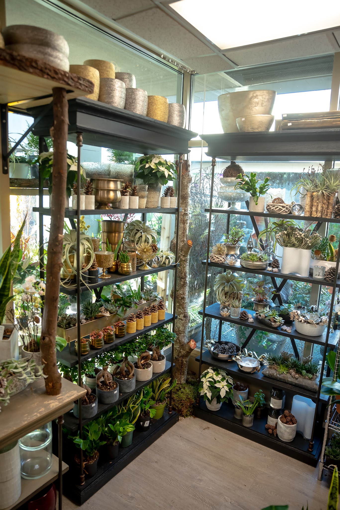 Rosette Florist