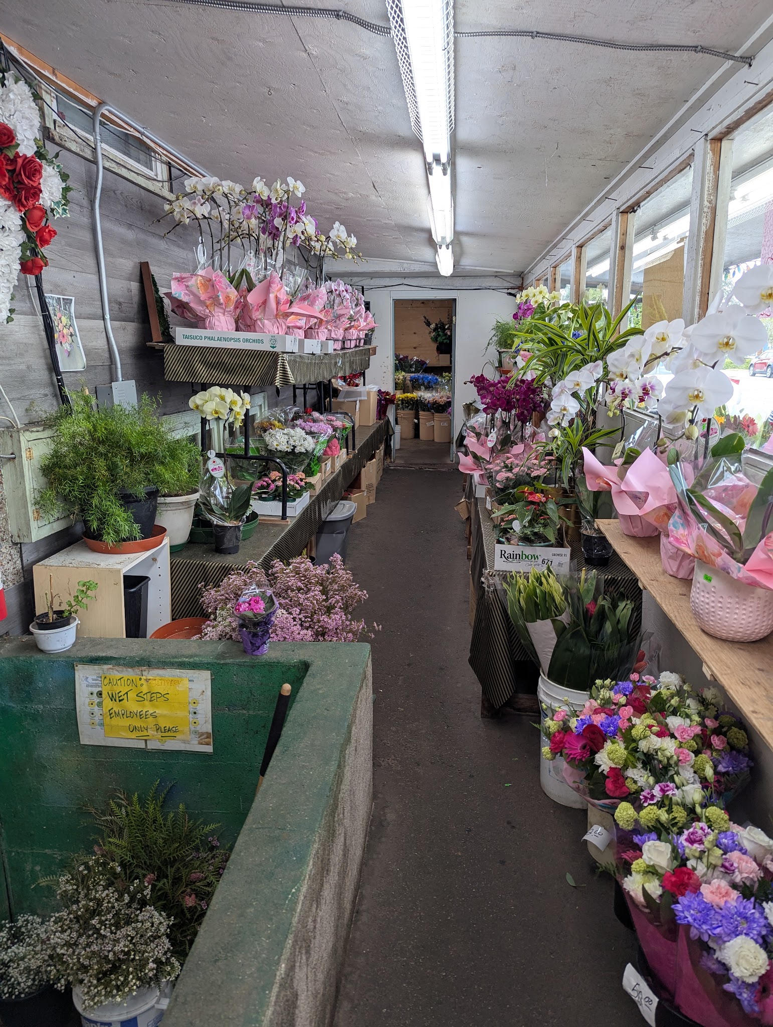 Canada Florist Burnaby