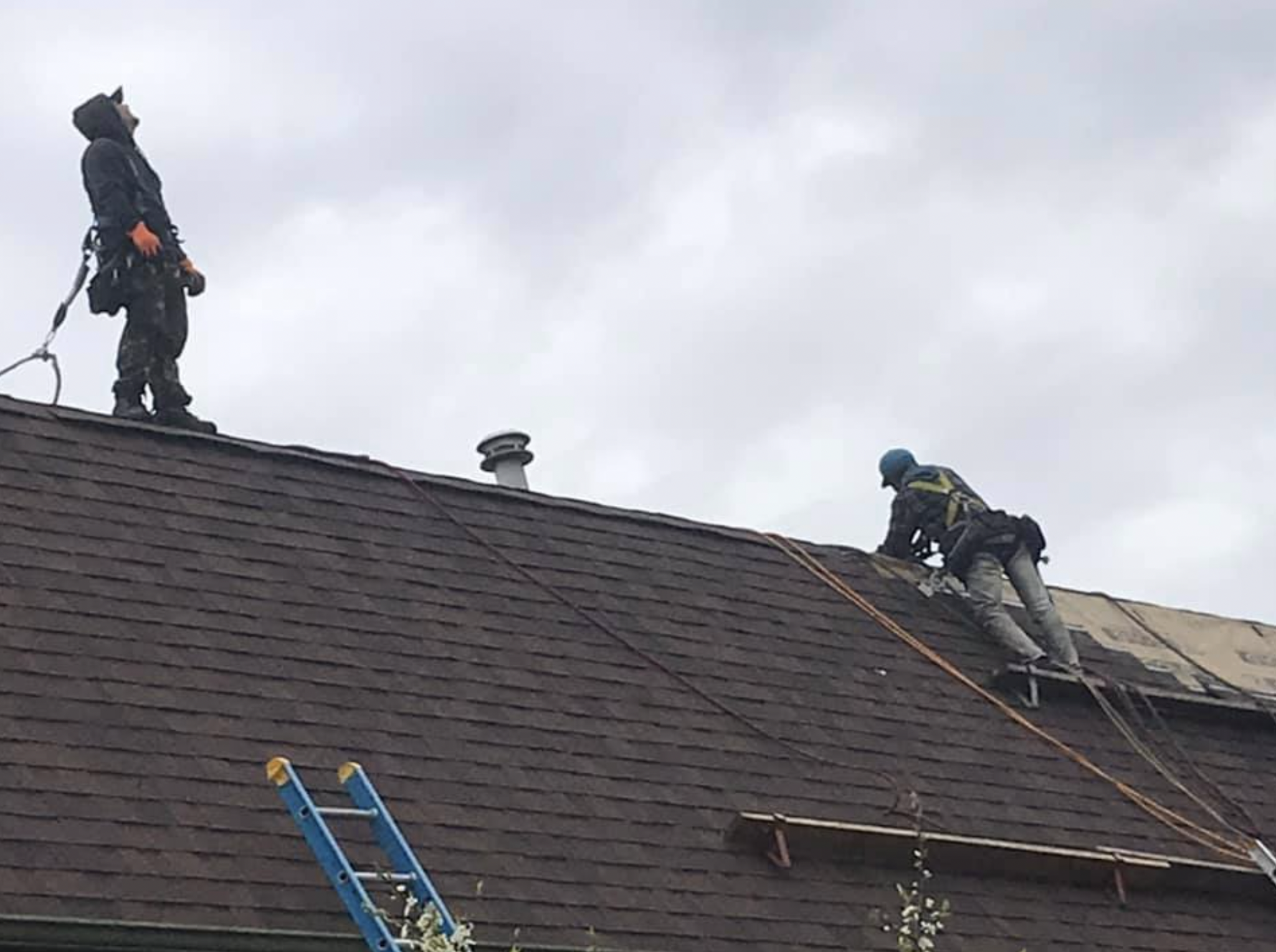 Tymey Roofing