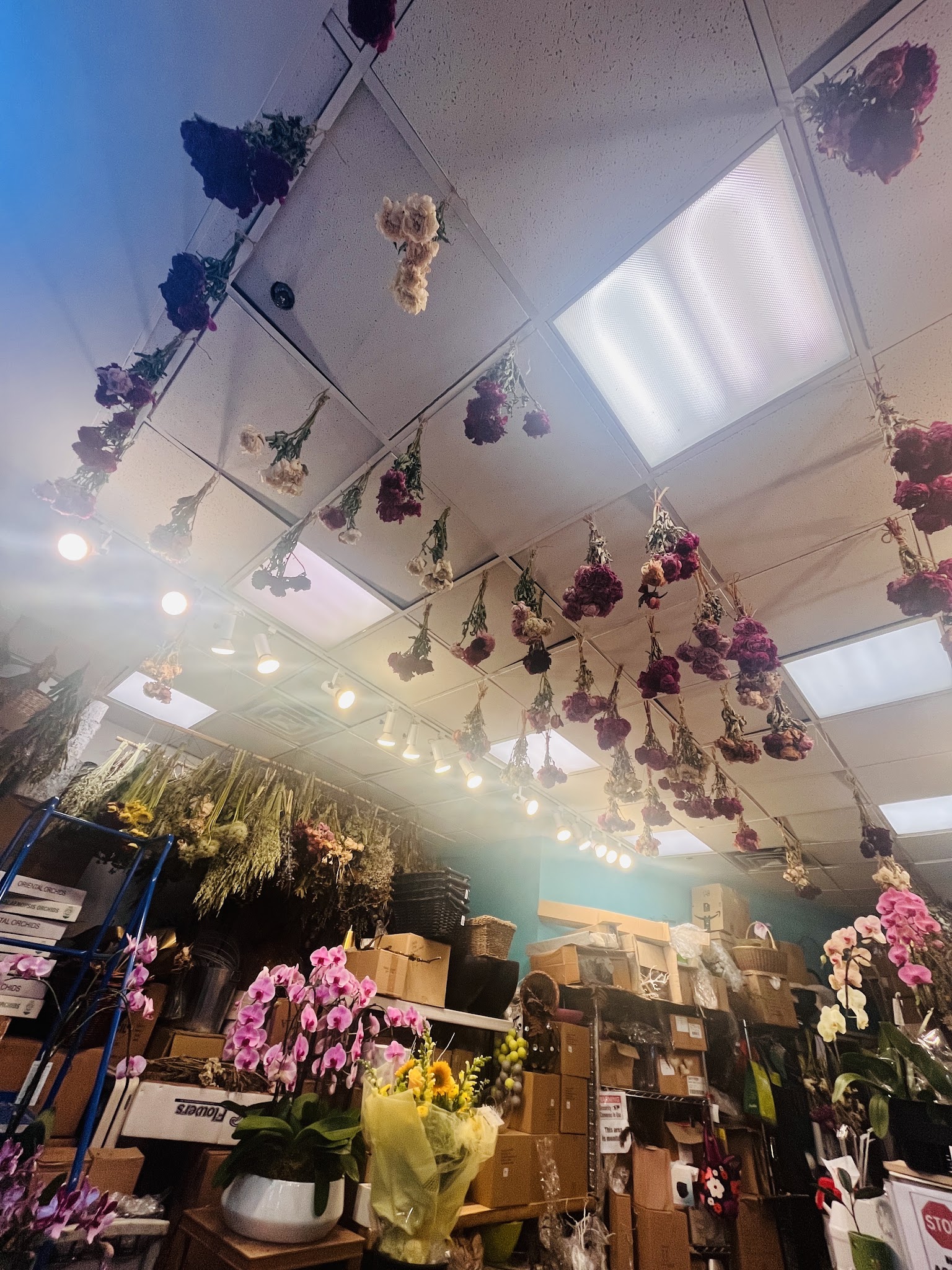Angela & Gabriel's Flowers Inc.