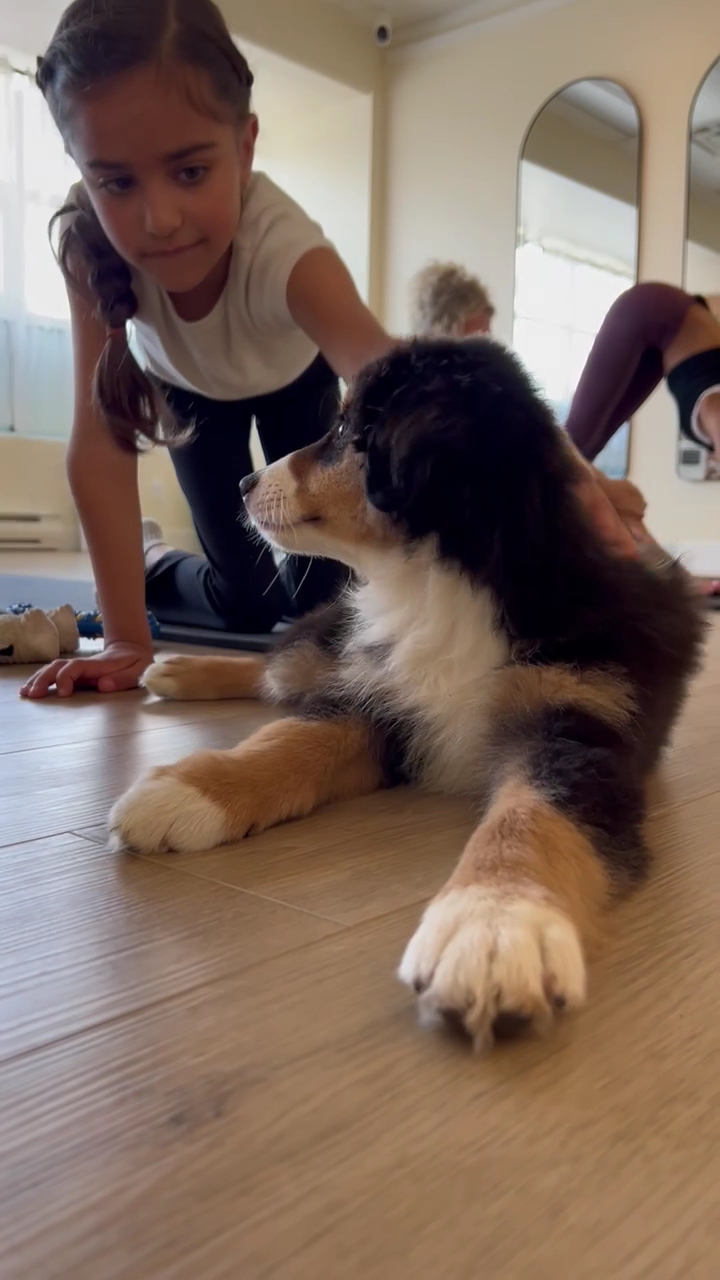Puppy Yoga Lounge