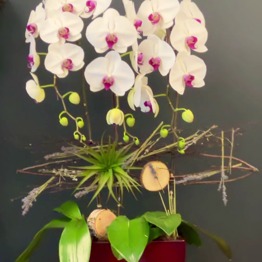 Rosette Florist
