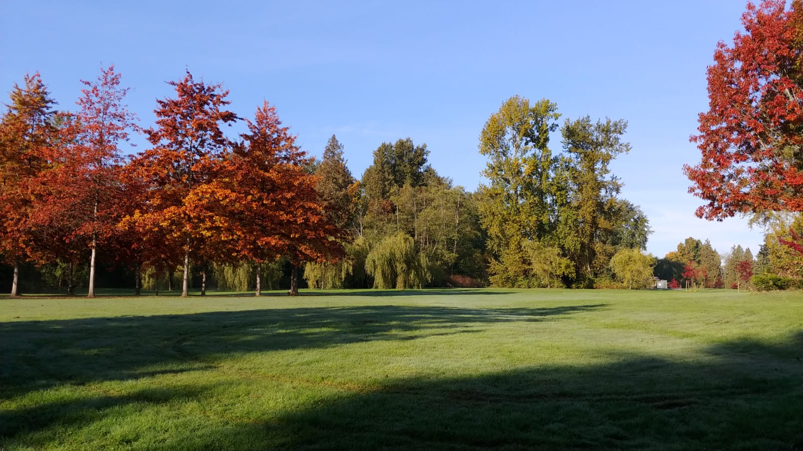 Sullivan Park Ball Diamonds