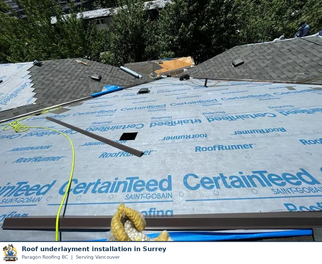 Paragon Roofing BC