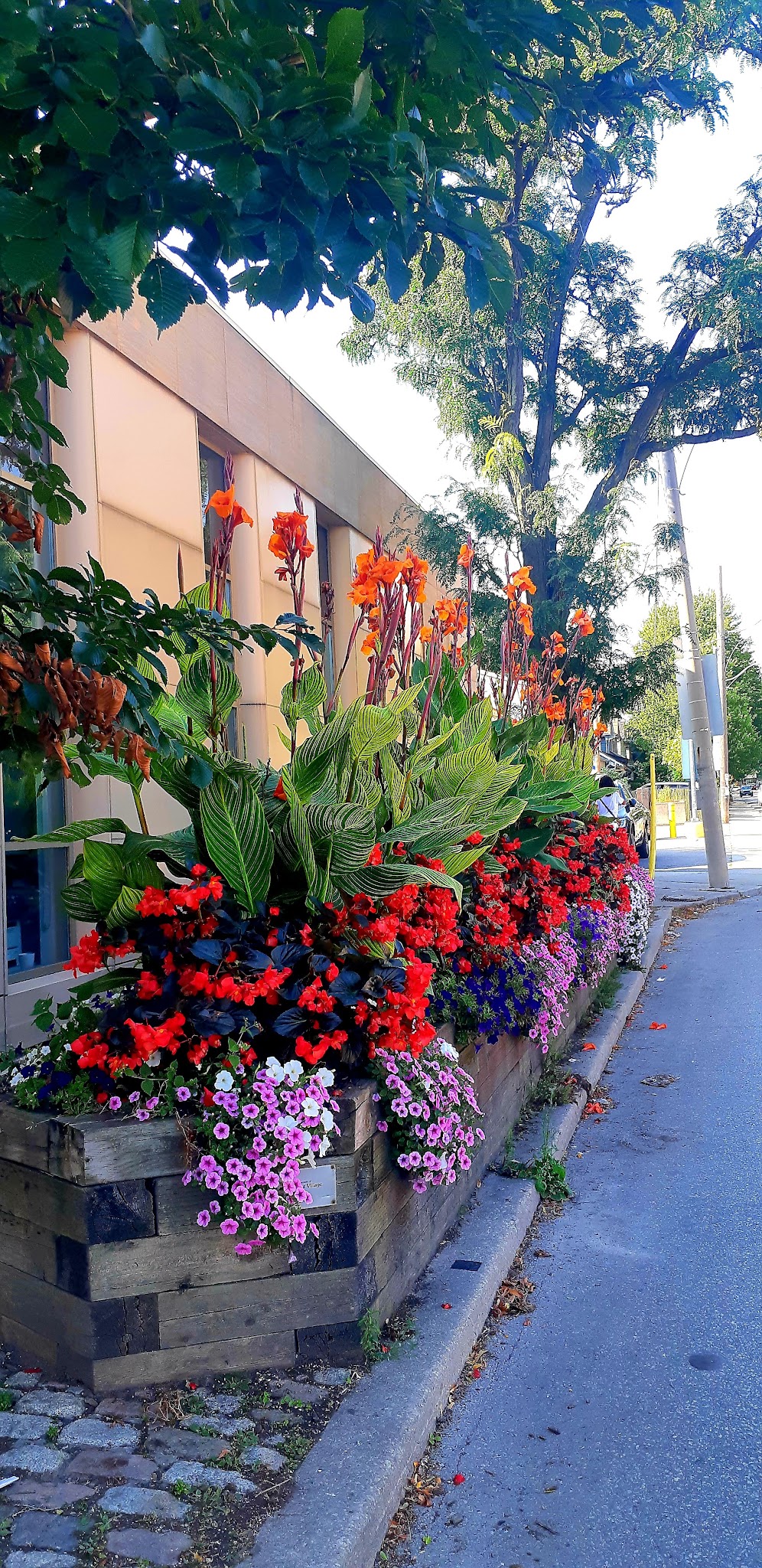 Bloor and Jane Denture Clinic