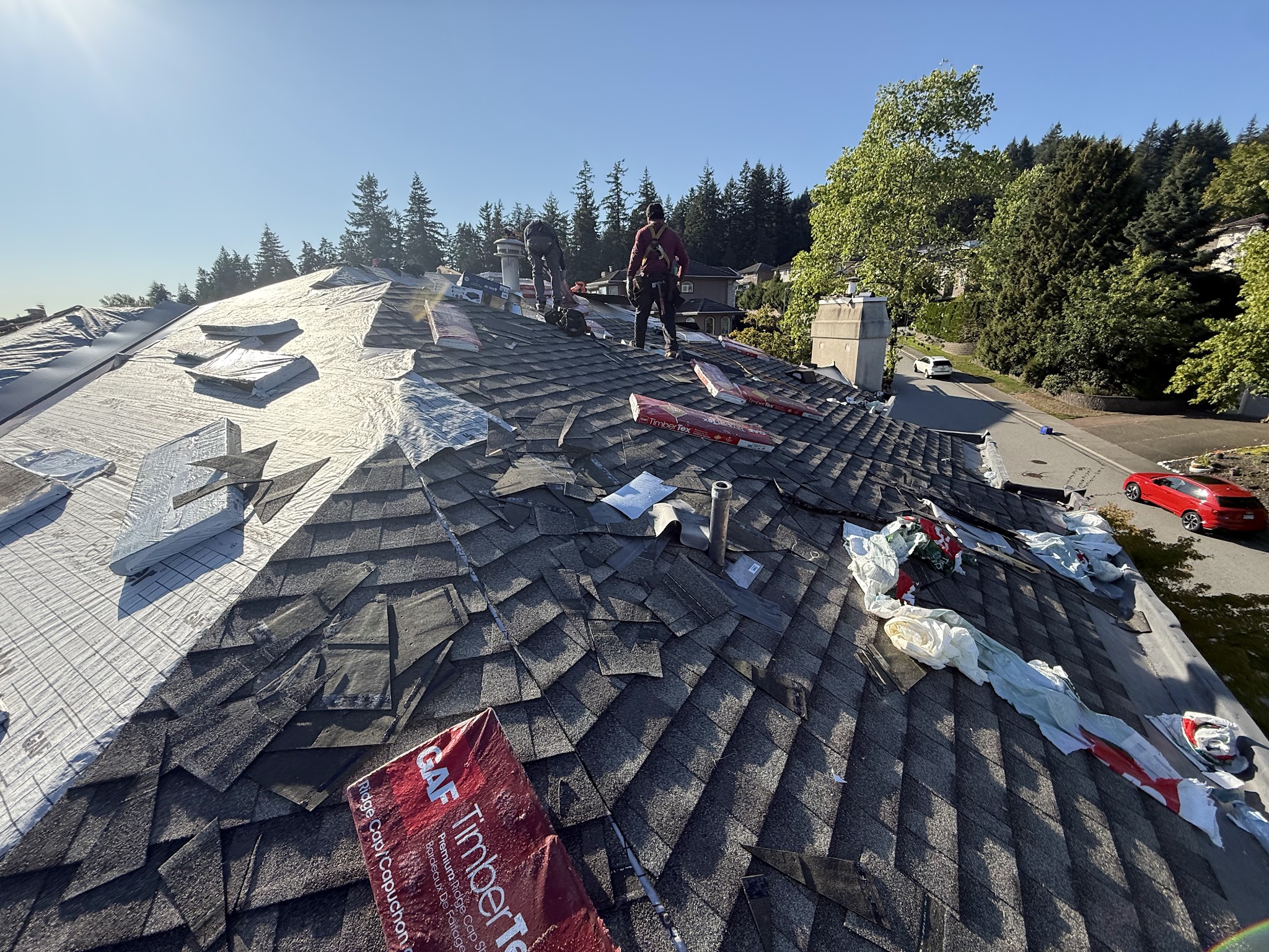 Resilience Roofing