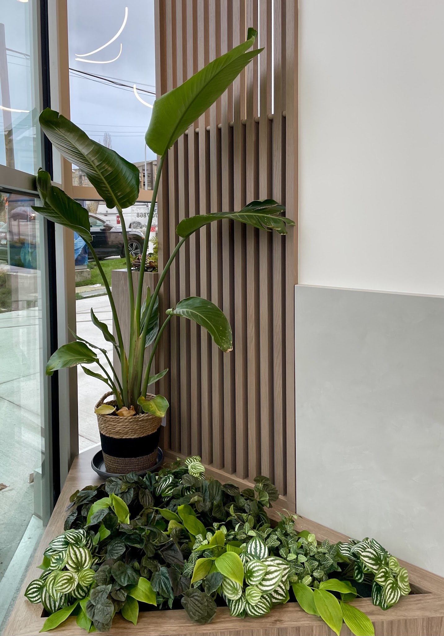 Greenscape Design & Decor Inc.