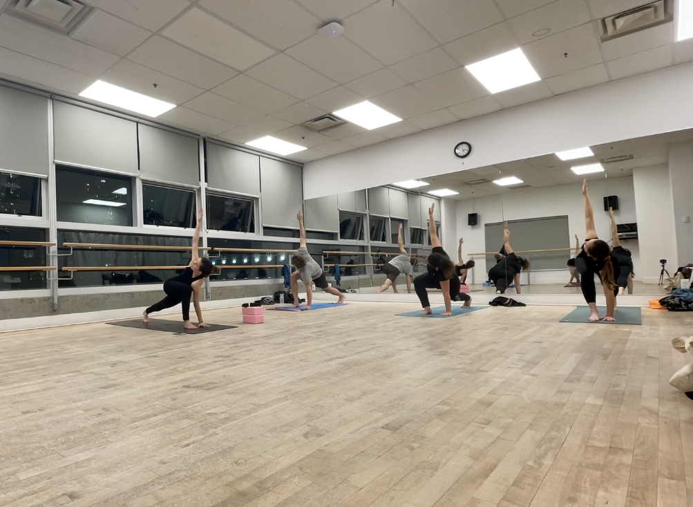 Adele Hatha Yoga