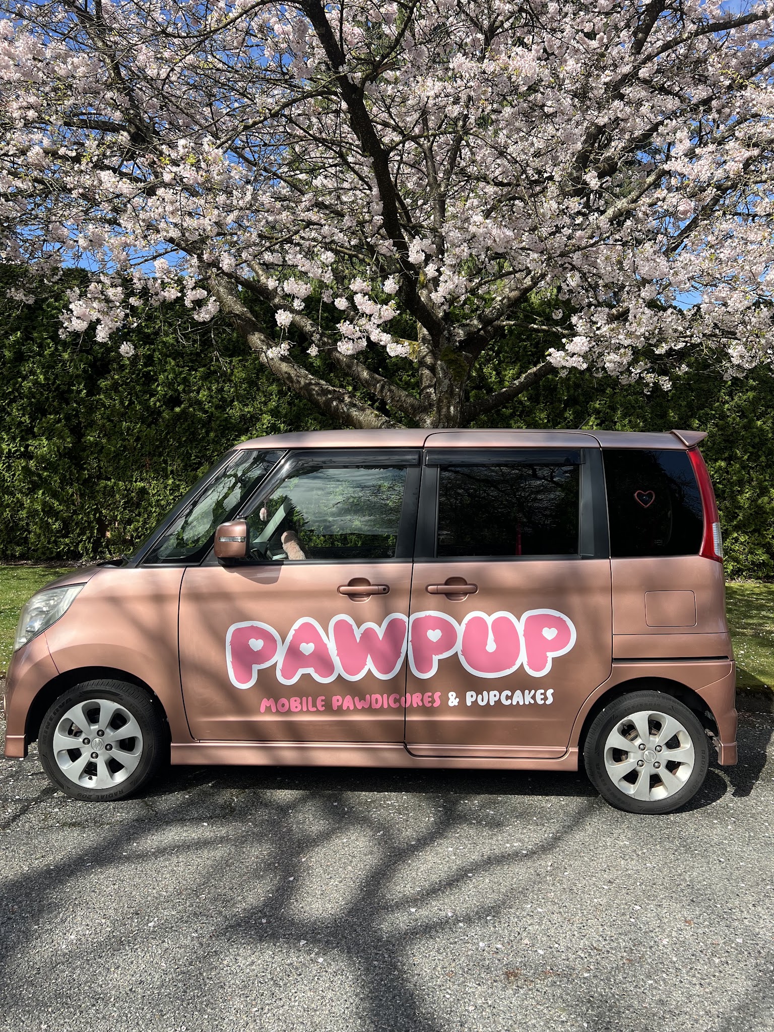 Japanoid Auto Store