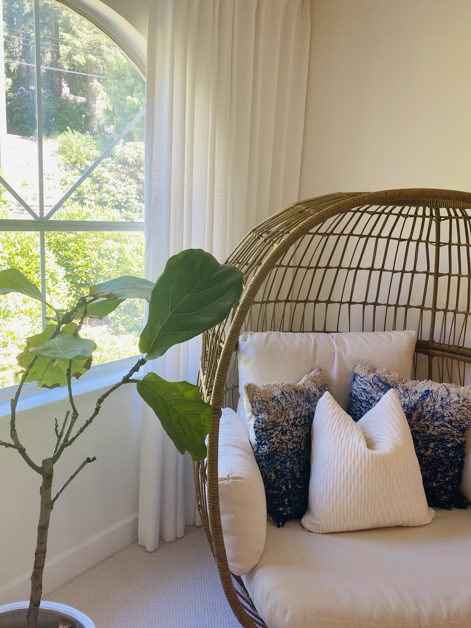 Jabot Interiors