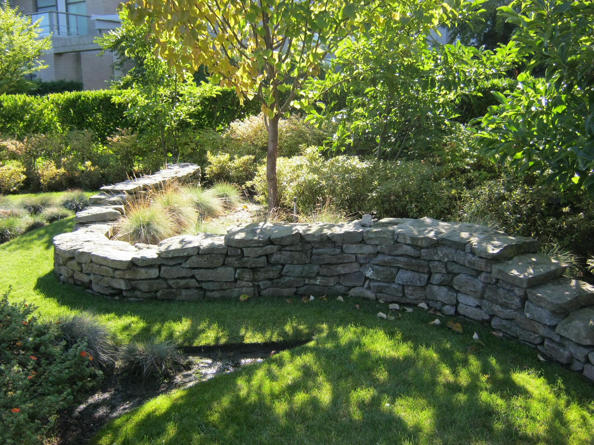 T. Moscone & Bros. Landscaping Ltd.