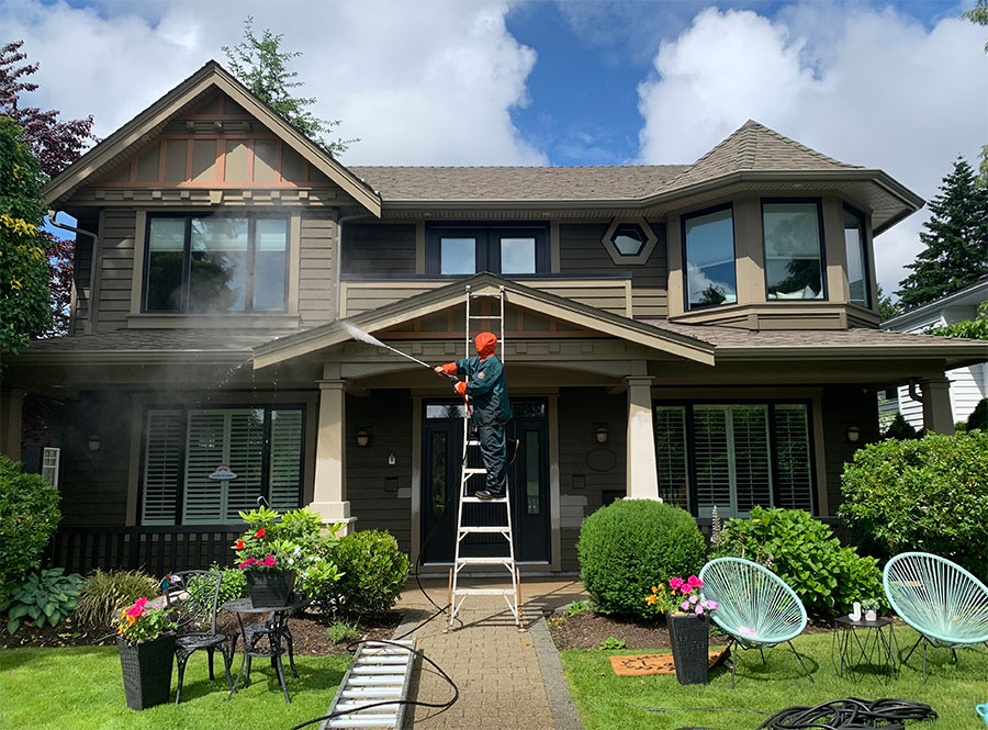 Carrera Pro Painters and Services