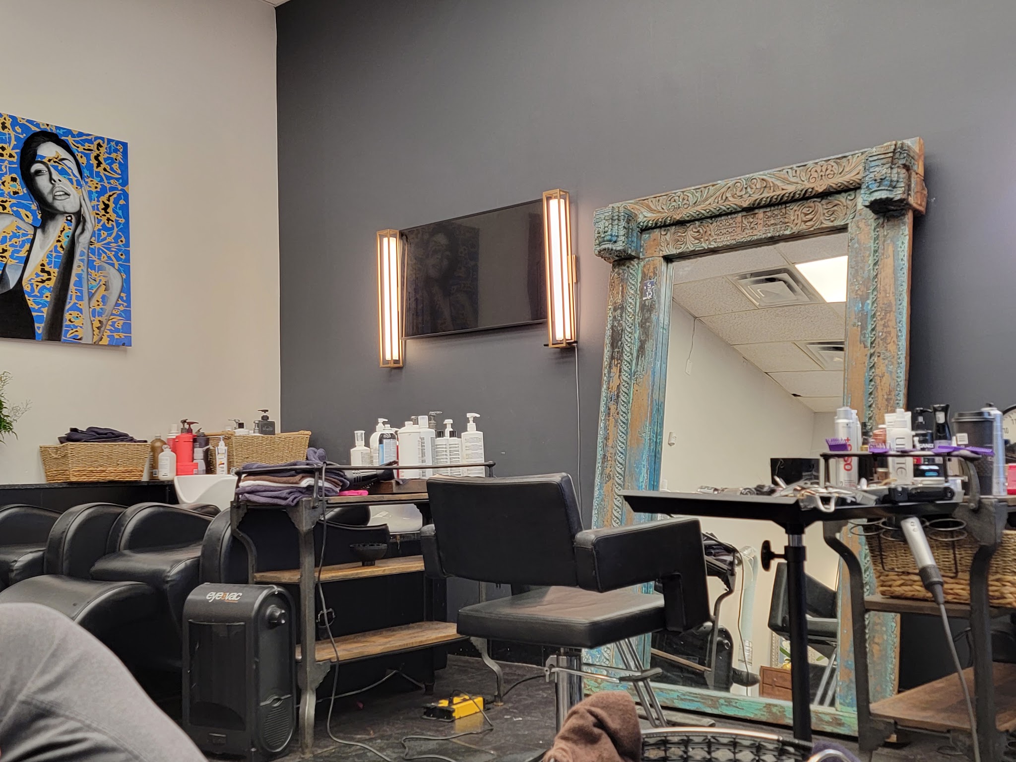 The Mayer Salon 88