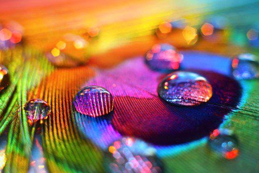 BE Bliss Yoga & Wellness - Ayurveda & Science Vancouver