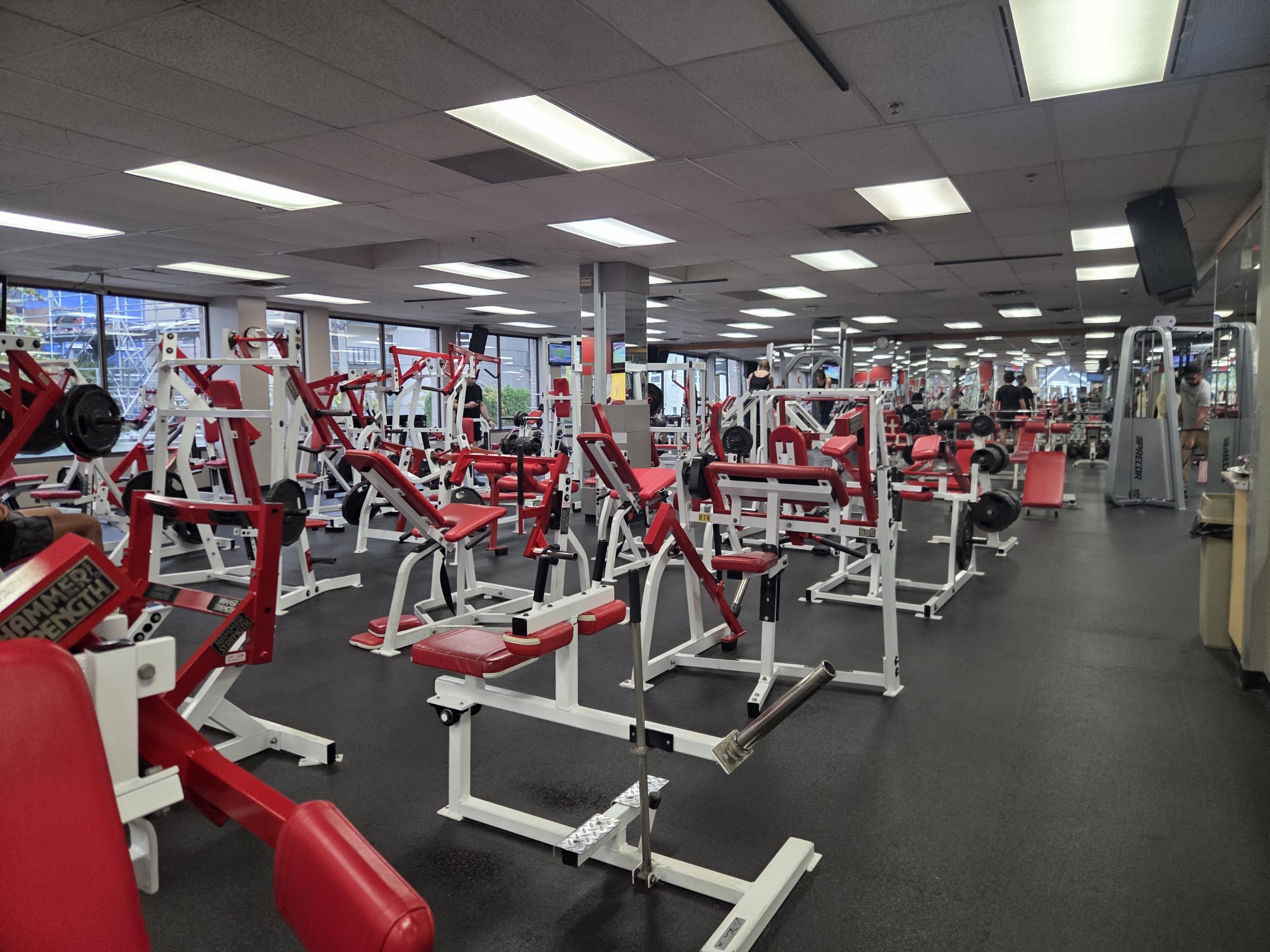 Ron Zalko Fitness and Yoga