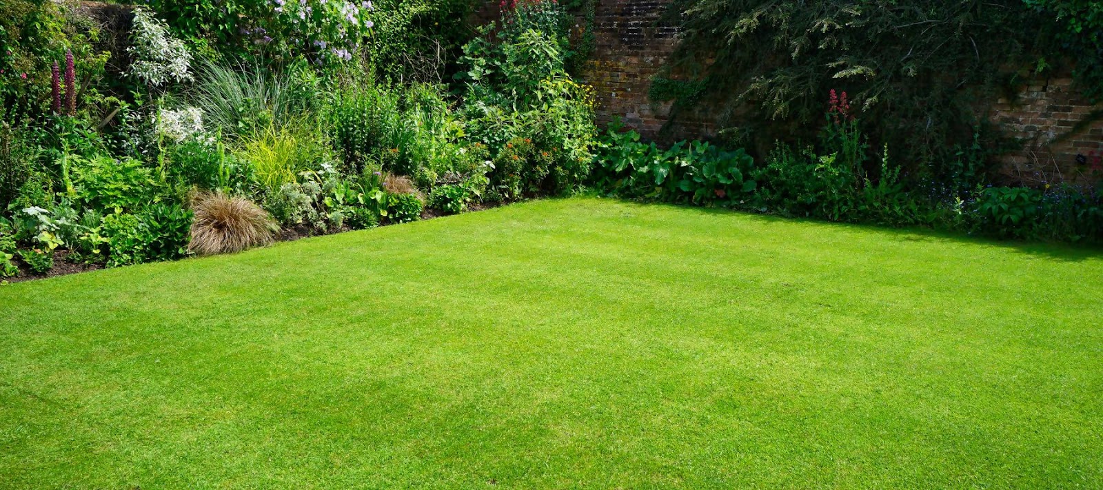Electric Lawn Care LTD.