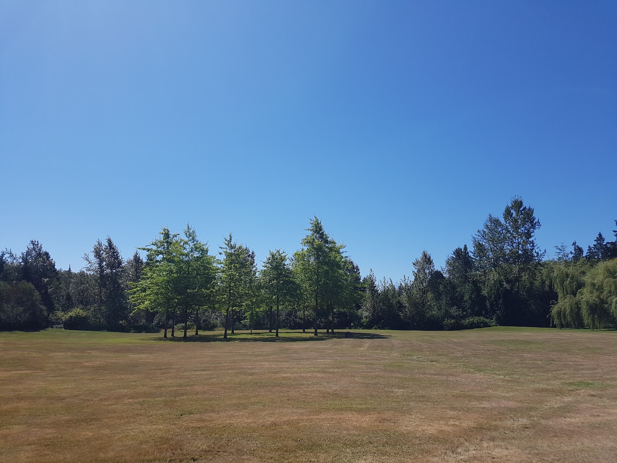 Sullivan Park Ball Diamonds
