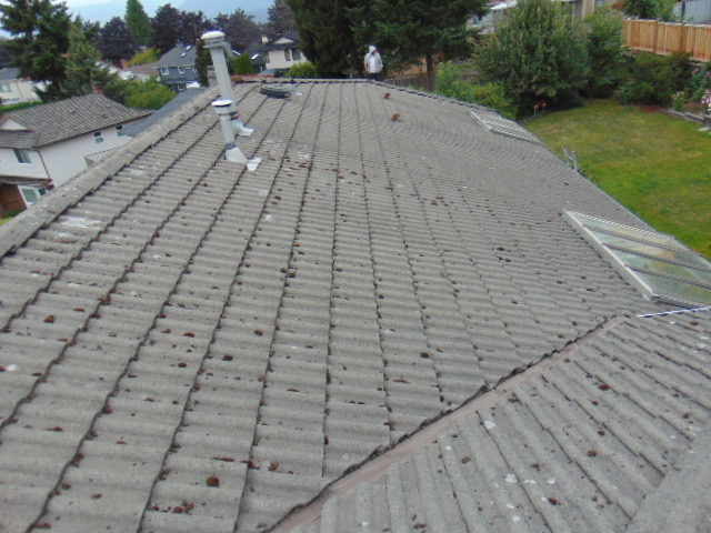 Crucial Roof Services Ltd.