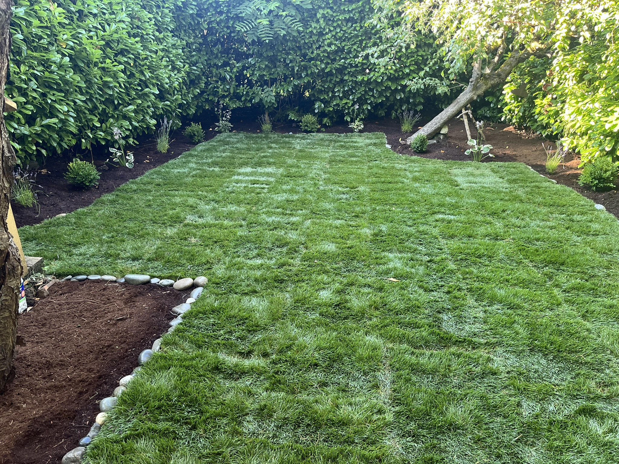 Blossom Landscaping