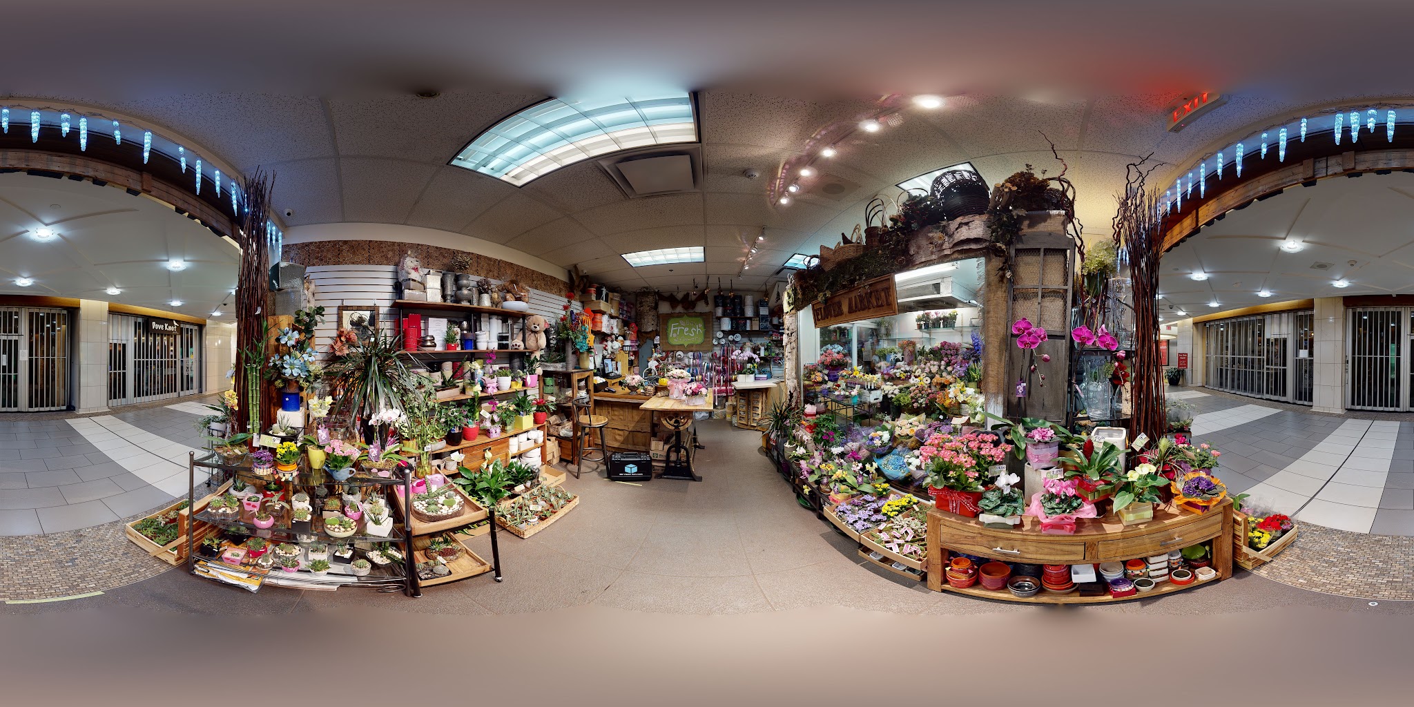 Bay Fresh Flowers
