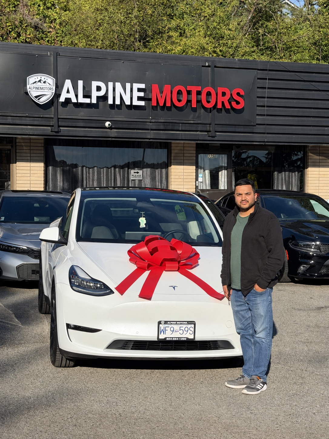 Alpine Motors