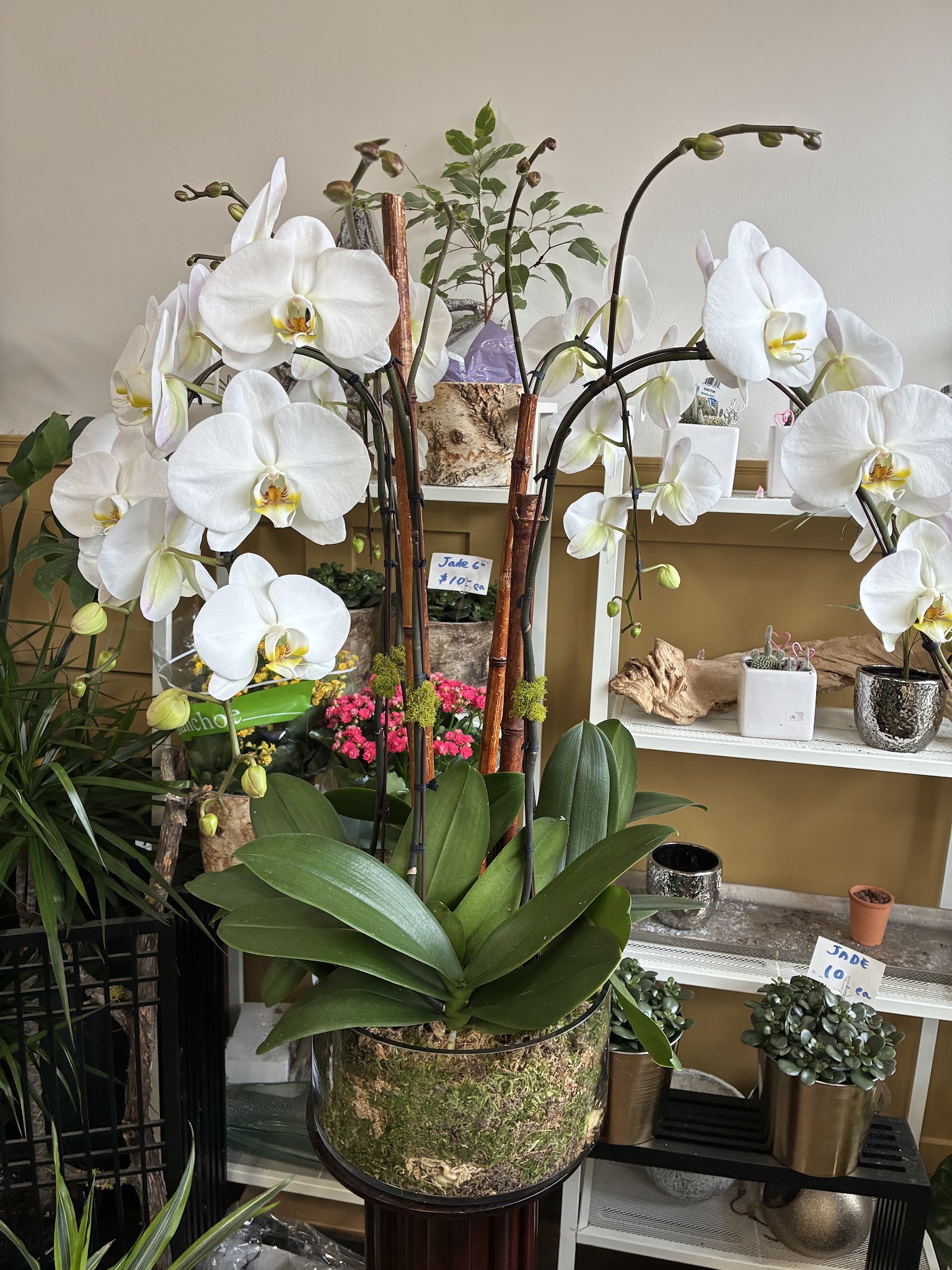 Hanamo Florist