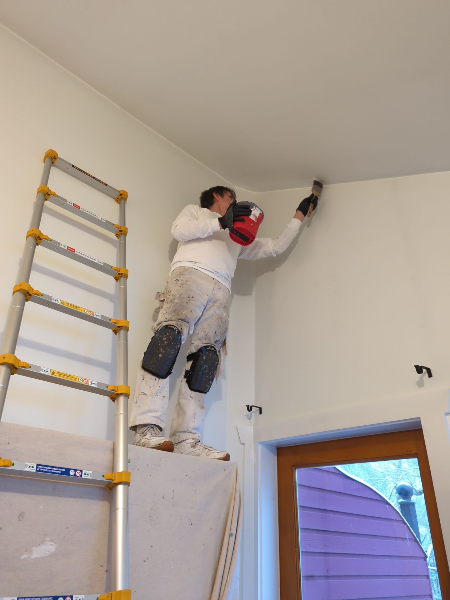 Renaissance Solutions Painting & Carpentry