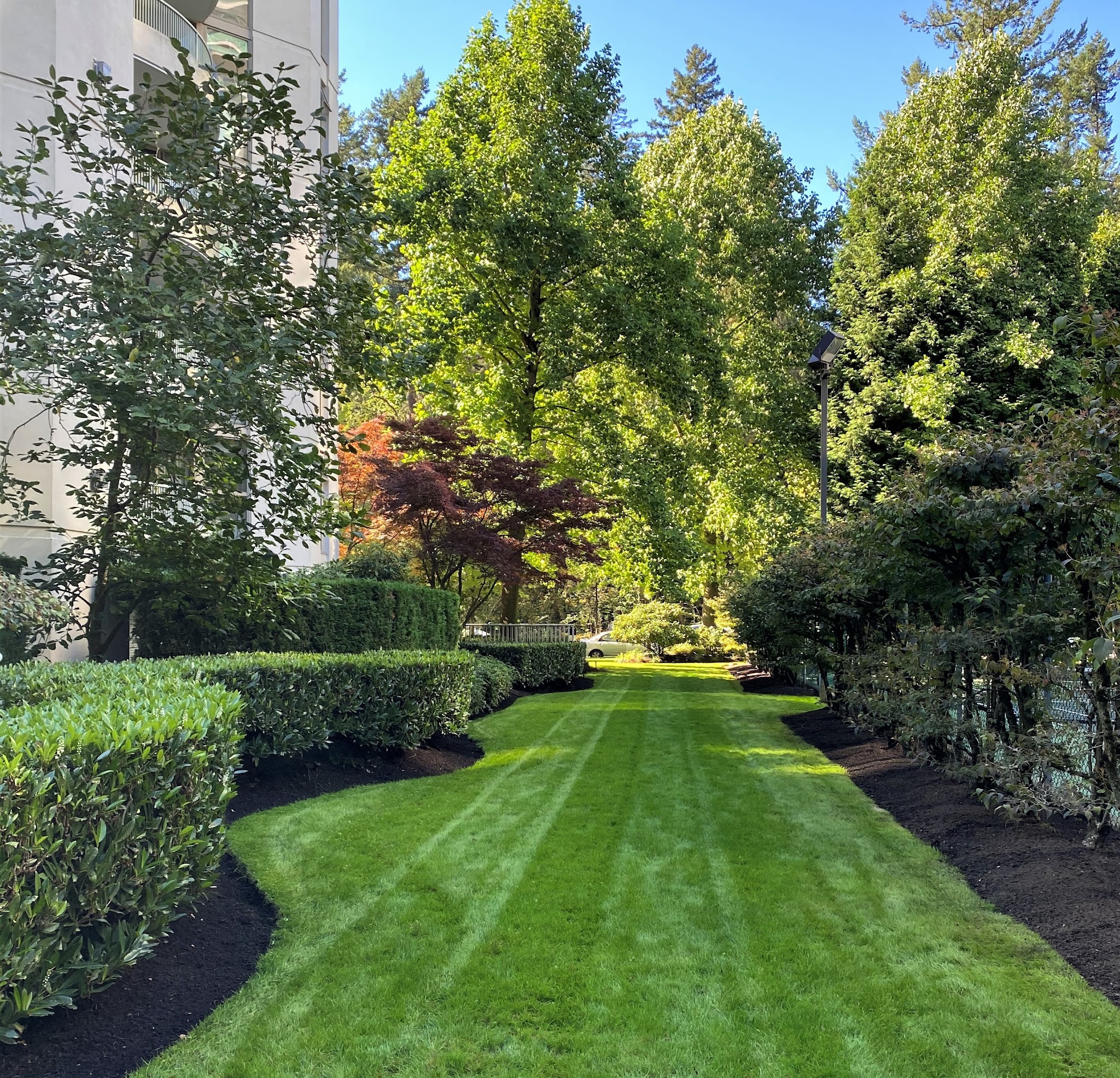 Para Space Landscaping Inc