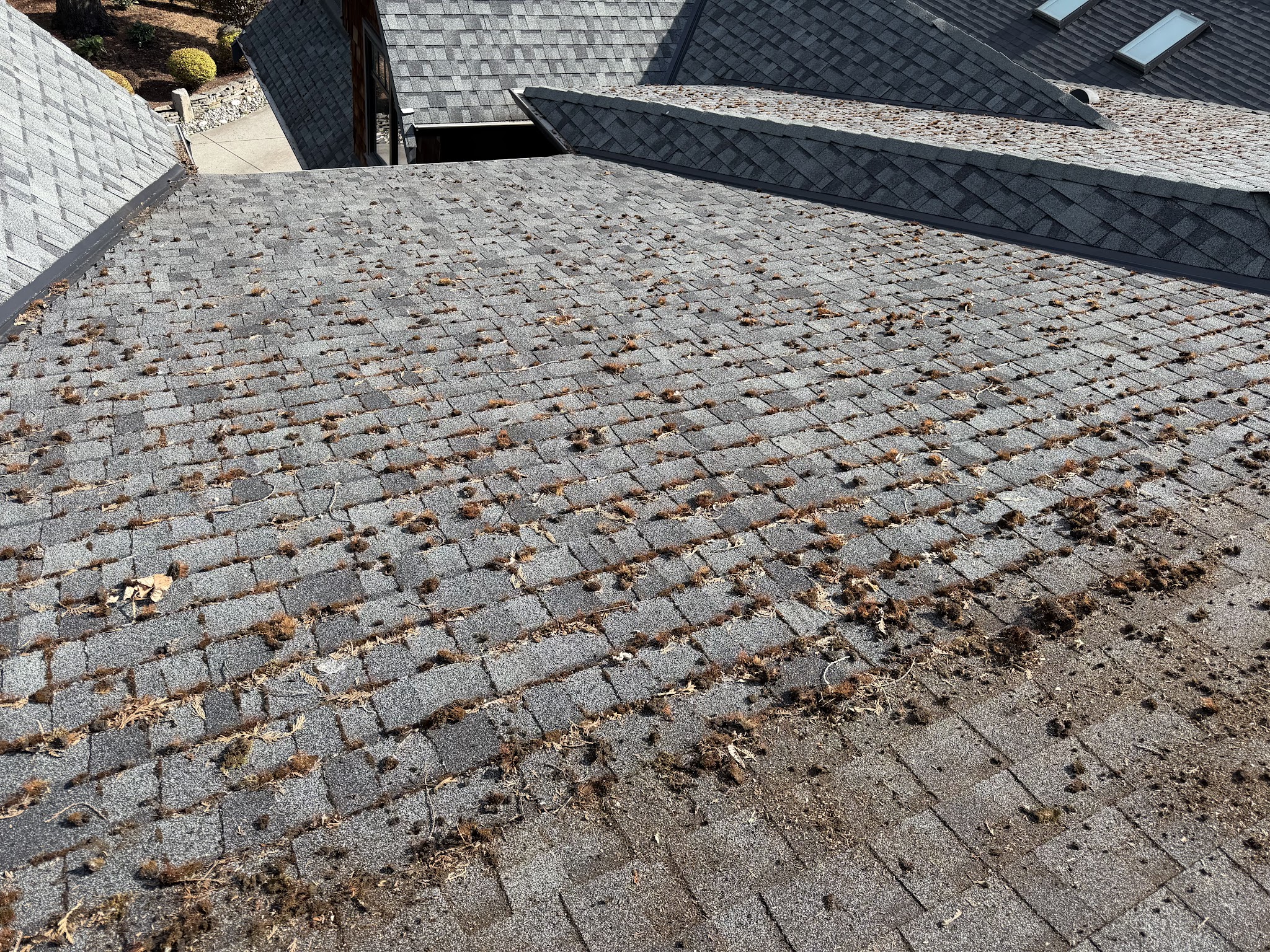 Rydel Roofing in Vancouver