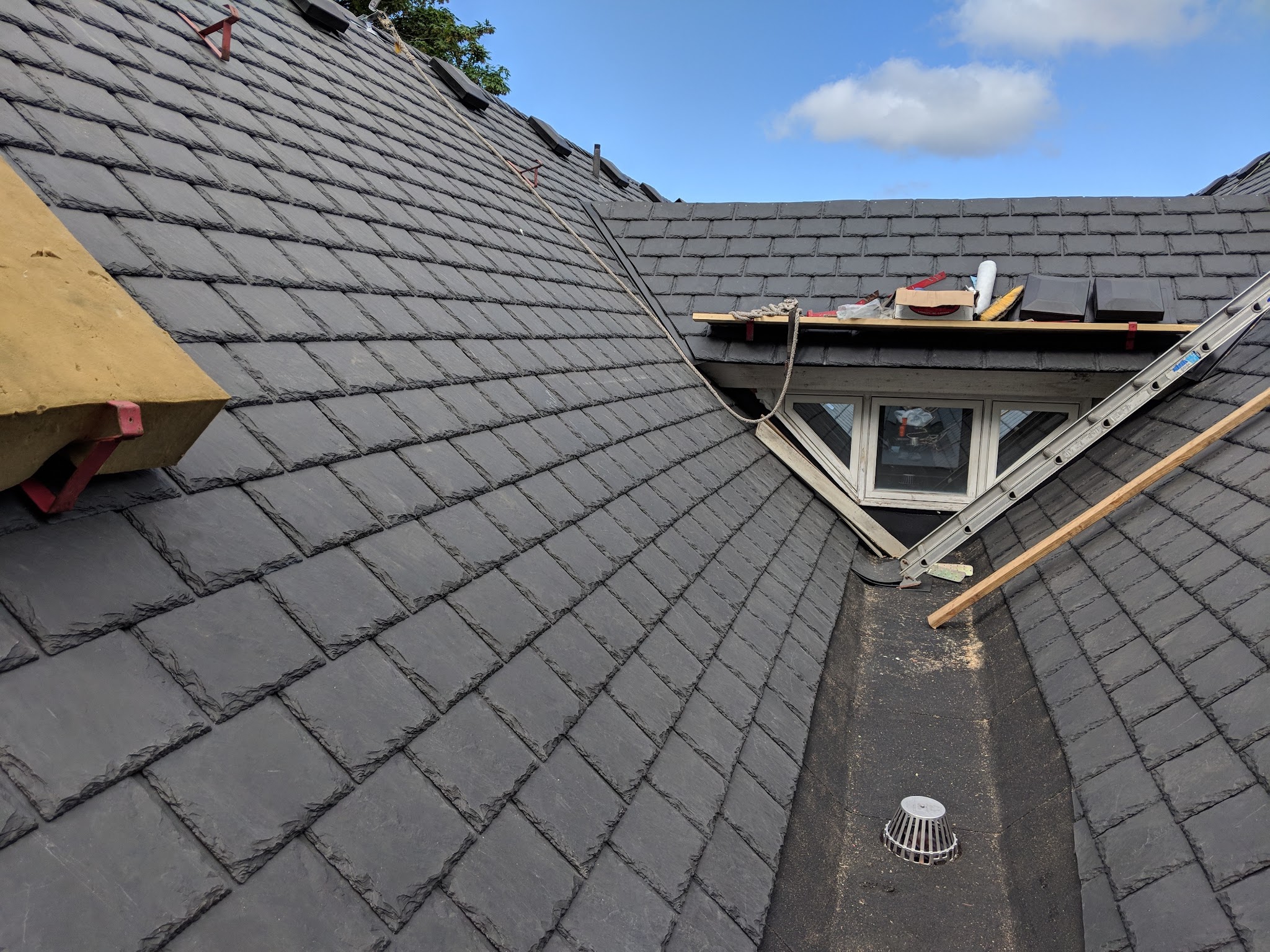Roy Dennis Roofing