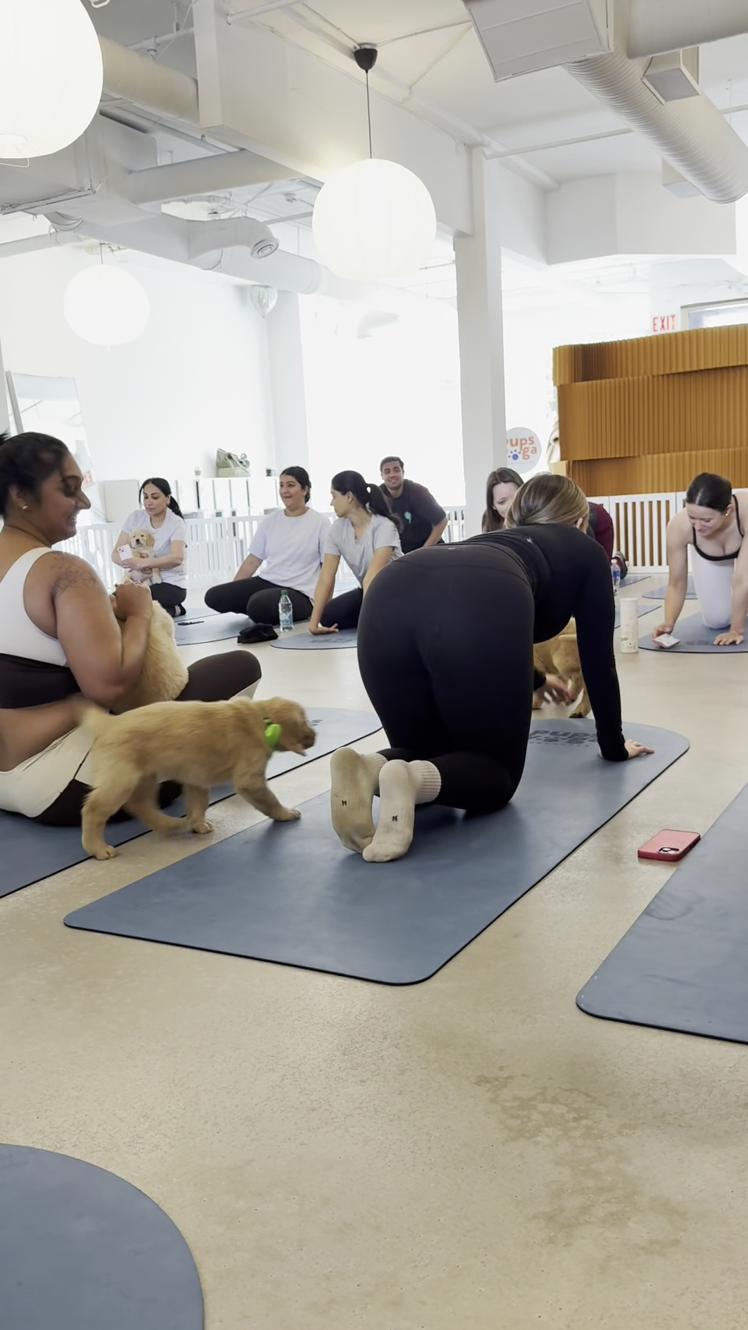 PupsYoga Vancouver