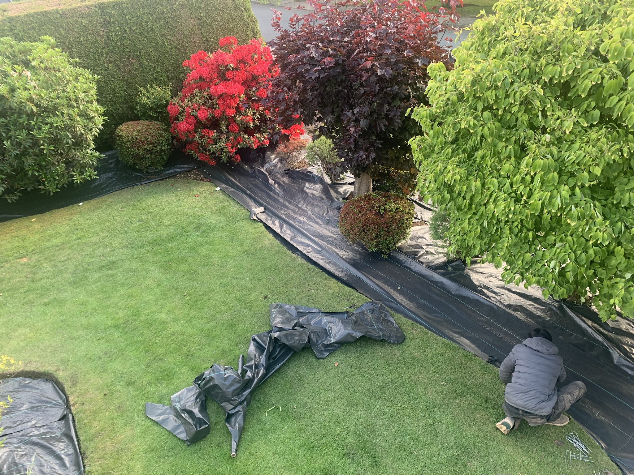 Luxy Landscaping