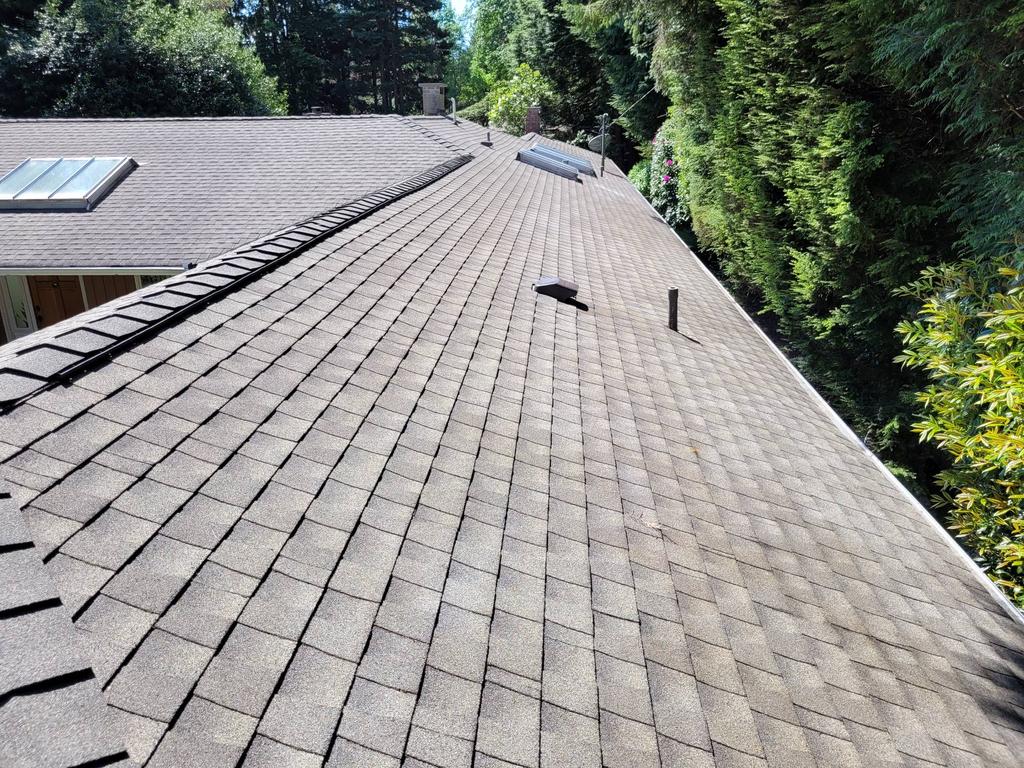 Absolute Roof Solutions